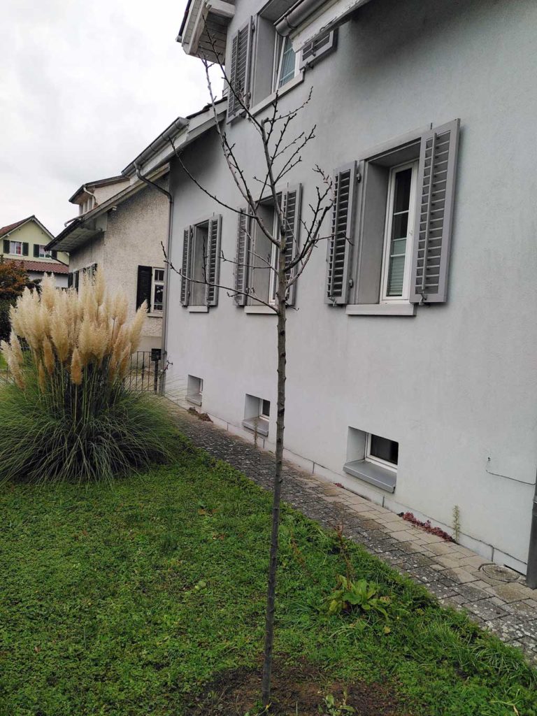 Sophie gueron thesis 07 picture