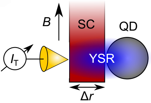 Large extendion of Yu-Shiba-Rusinov state